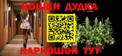 крисы Канаш