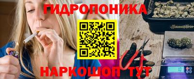 крисы Канаш