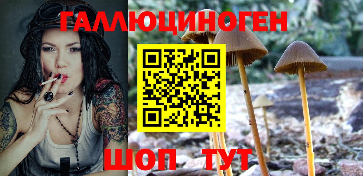 Псилоцибиновые грибы Psilocybe  Вход с VPN  Фролово 